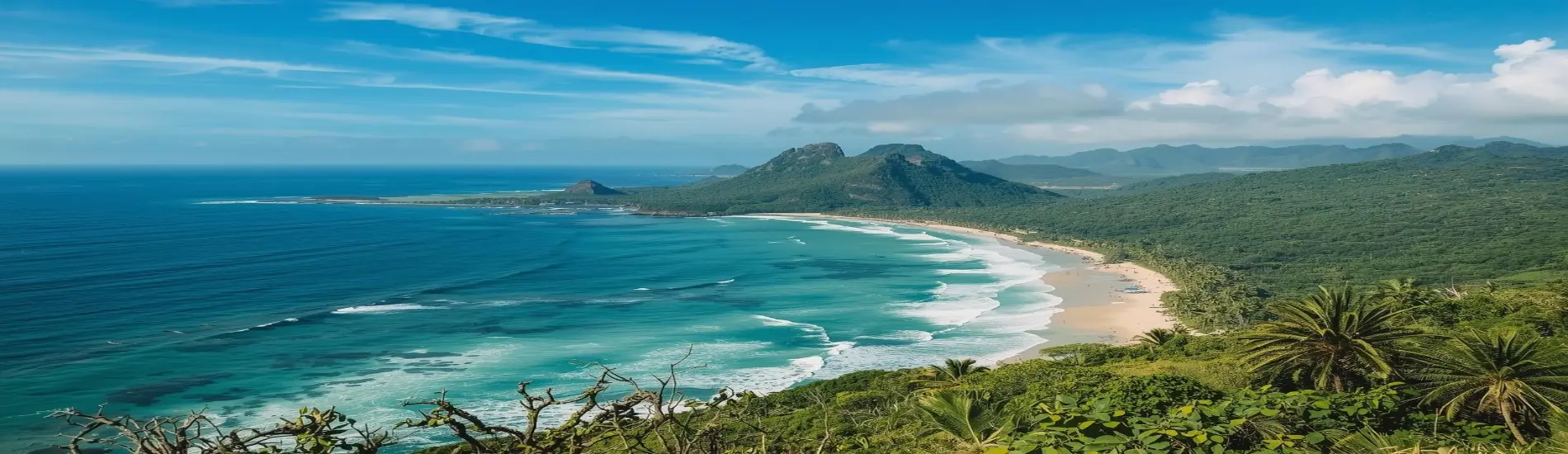 Kerala Highlights – Hills, Wildlife & Backwaters